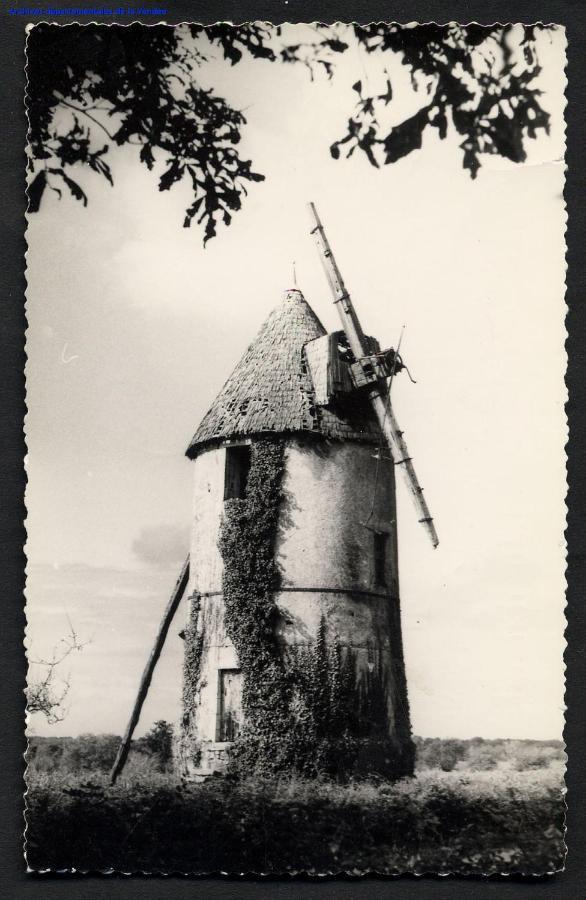 Moulin A Vent Le Champ Du Trail Villa Saint-Cyr-des-Gats Exterior foto